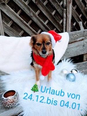 FB_IMG_1766386803078